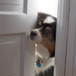 May I come in?