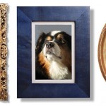 Happy Presidog’s Day! A Quiz