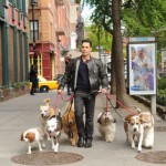 Dogs in the City: A Big Paws Up