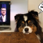 Politics/Shmolitics: A Dog’s Eye View