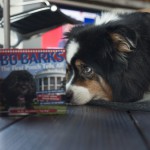 Good Reads: Bo Barks, the First Pooch Tells All