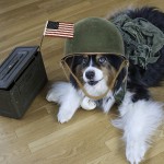 Semper Fido: A Paws Up for Pets for Patriots