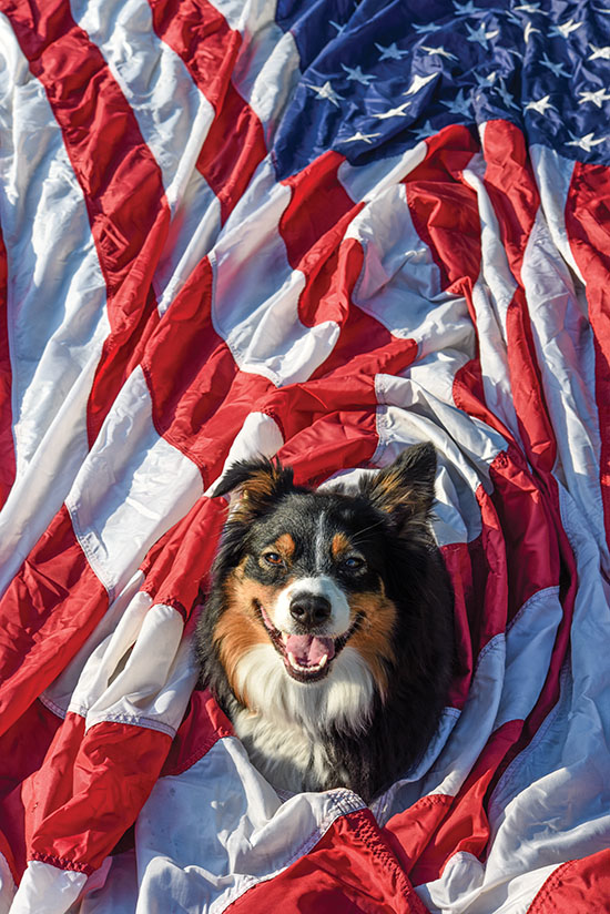 Aussie with US Flag, photo by Tom Grotta